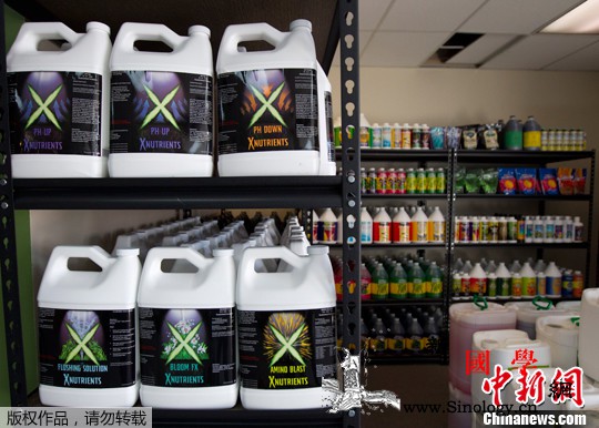 大麻合法化会导致更多人死于车祸？研究_阿拉斯加州-俄勒冈州-合法化-