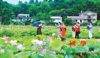 中国国内游复苏势头明显_疫情-旅游市场-恢复-国内-