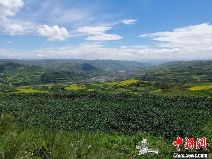 青海东部山村脱贫记：“几代纳家人赶上_青海省-脱贫-青海-