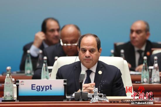 外媒：埃及议会授权军队向境外派军执行_利比亚-埃及-利国-
