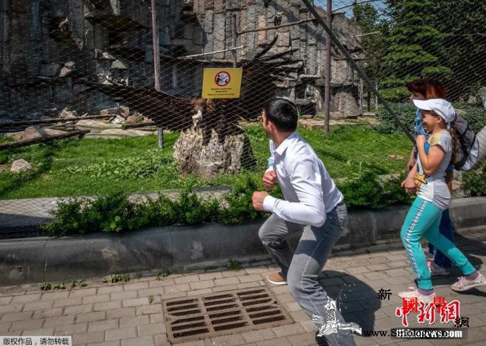 俄总理称俄四款新冠疫苗证明安全性冀秋_莫斯科-俄罗斯-疫苗-