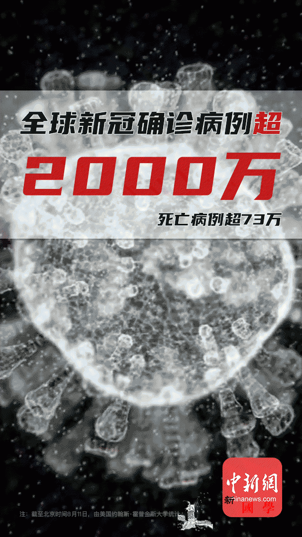 全球新冠确诊超2000万例！增100_印度-疫情-病例-