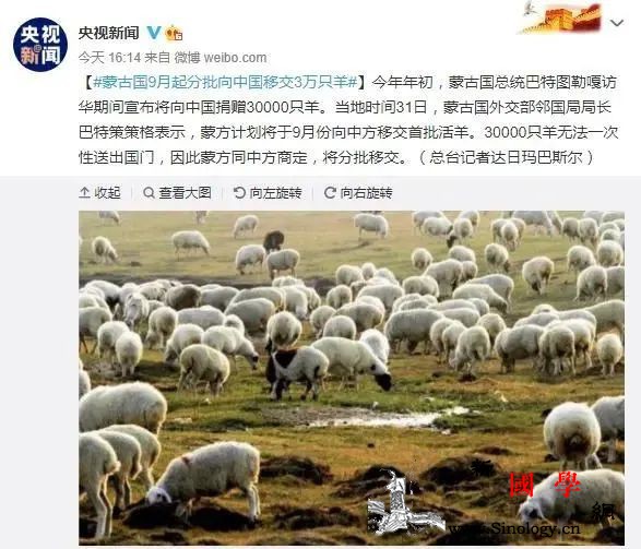 蒙古国计划9月起向中国分批赠送3万只_肥壮-疫情-外交部-