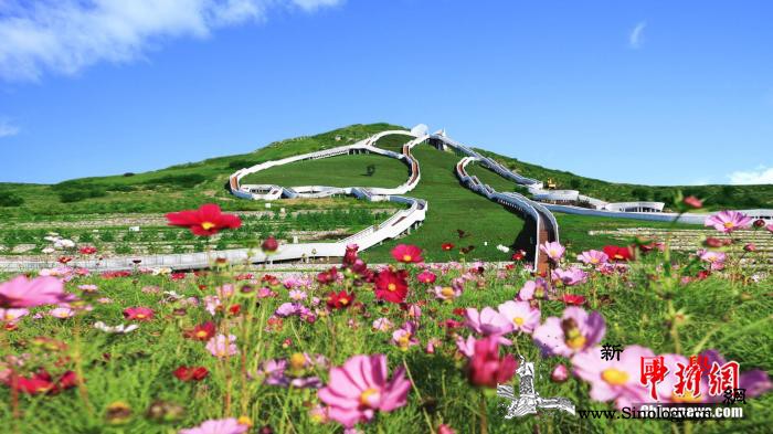 采石匠在石头上种出“幸福花”_乌兰浩特市-天骄-矿坑-