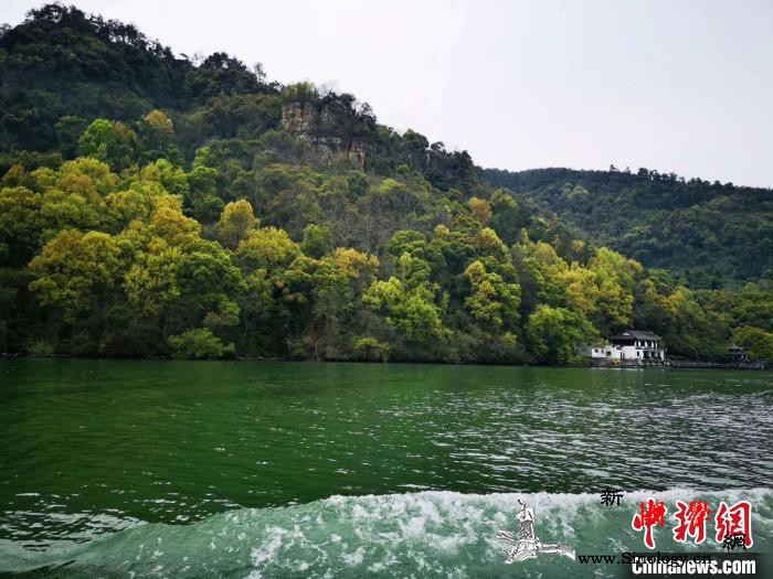 循迹“两山”理念15年：浙江实践“添_绿水青山-金山-遂昌-