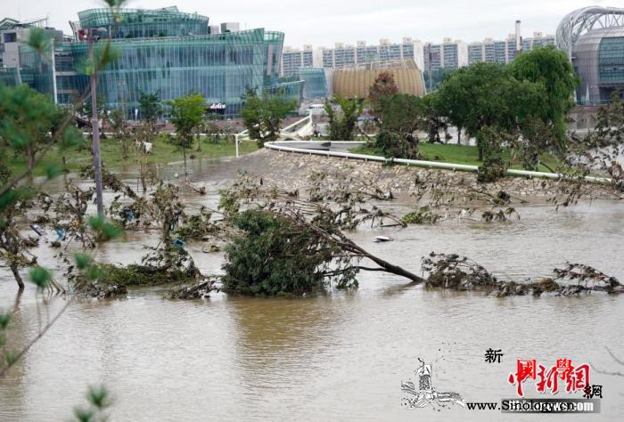 韩国暴雨已造成33死9失踪本周或追加_汉江-韩国-暴雨-