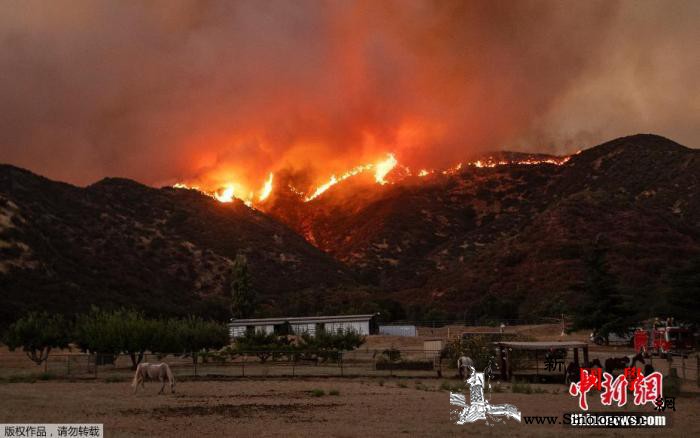 美国加州多地发生山火高温加剧火势蔓延_加利福尼亚州-加州-山火-
