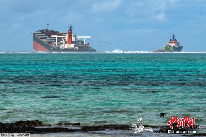 毛里求斯搁浅日本货轮船长被捕涉航行中_毛里求斯-货轮-日本-