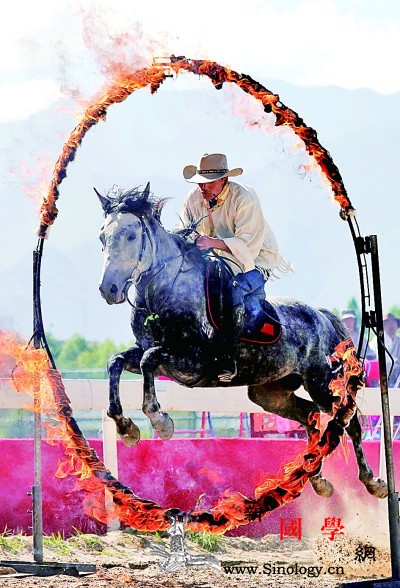 拉萨举行民族传统马术表演_拉萨市-哈达-拉萨-骑手-