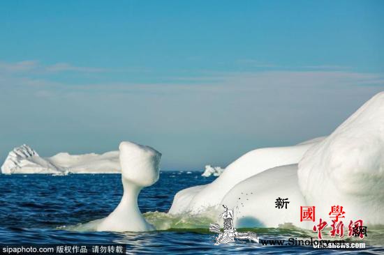 国际最新研究：2019年格陵兰冰盖消_格陵兰岛-冰盖-格陵兰-