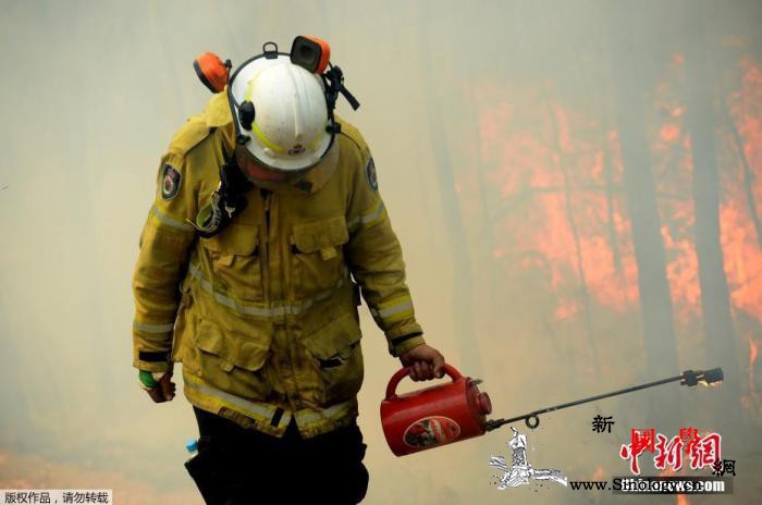 澳新州公布林火灾难调查报告要求清除火_澳大利亚-火灾-调查报告-