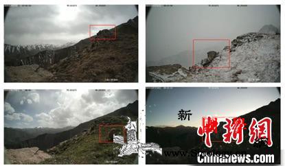 祁连山国家公园：利用大数据建设智慧公_青海省-青海-图为-