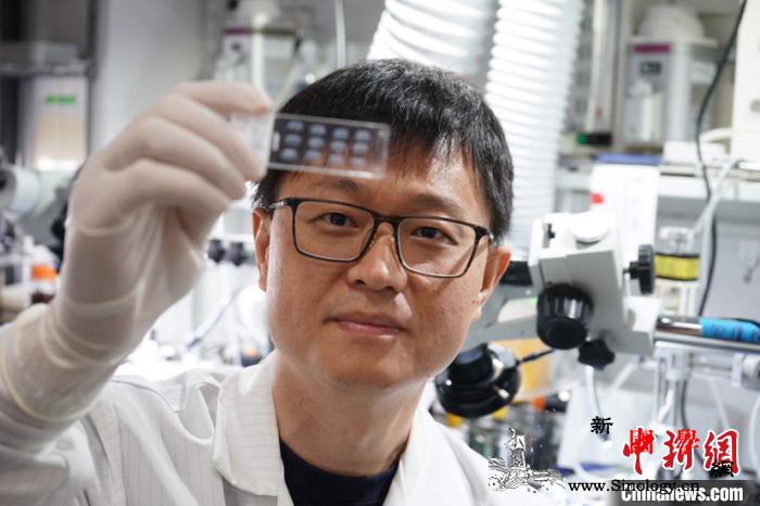 熬夜后睡得更“香”？研究发现影响睡眠_前脑-腺苷-谷氨酸-