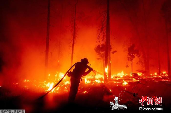 美加州山火肆虐已致8人丧生逾220万_塞拉利昂-加州-山火-