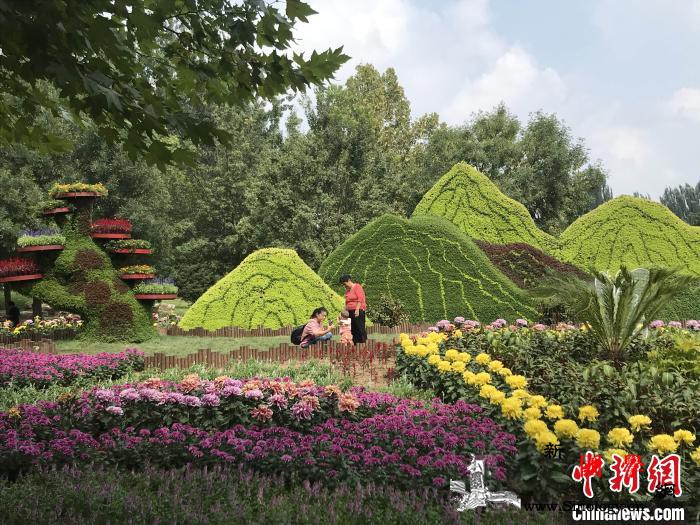 第十二届北京菊花文化节开幕40万株_文化节-北京-顺义-花卉-