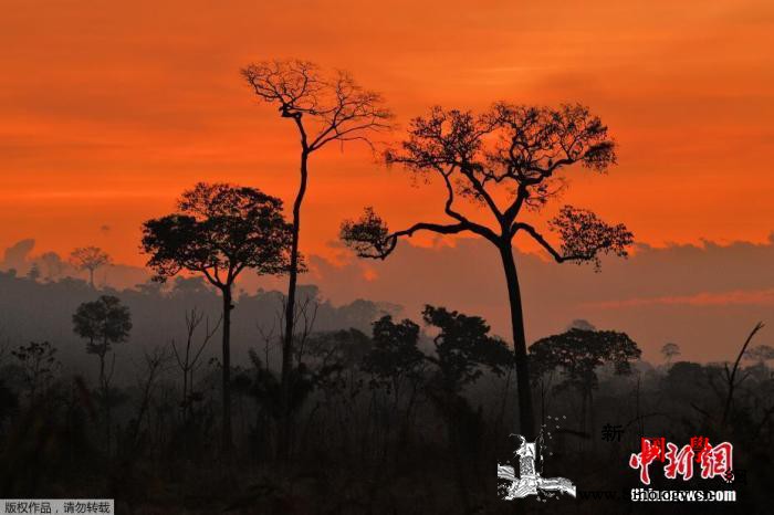 高温干燥森林大火蔓延巴西这地还下起了_黑雨-巴西-湿地-