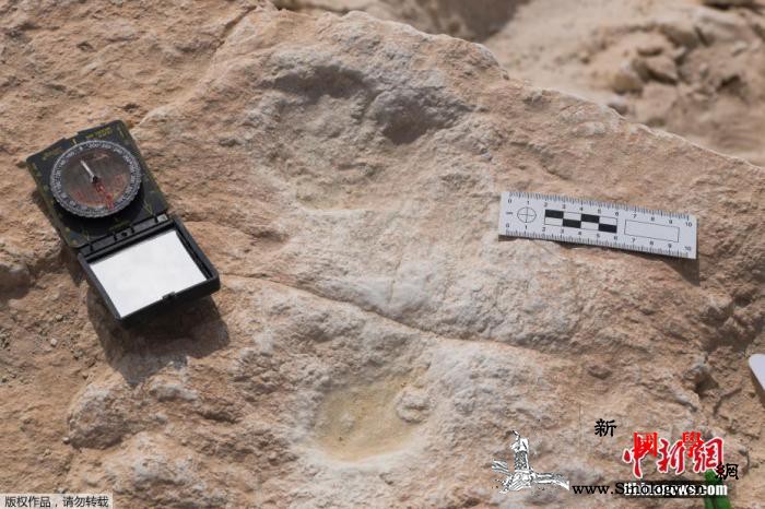 考古学家在沙特发现距今12万多年前的_阿拉伯半岛-沙特-考古学家-