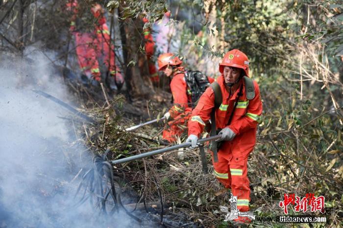 四部门:即日起开展打击森林草原违法用_灭火-指挥部-专项-