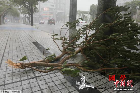 台风“灿鸿”持续北上逼近日本日气象厅_日本-风中-台风-