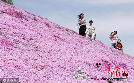 日本都道府县魅力排行榜出炉北海道连续_北海道-日立-粉蝶-