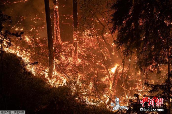 美国加州野火持续燃烧联邦政府却拒绝提_加州-野火-斯托- ()