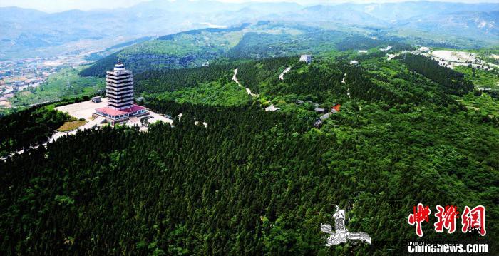 中国第二处“林业英雄林”落地山东淄博_荒山-林场-山林-