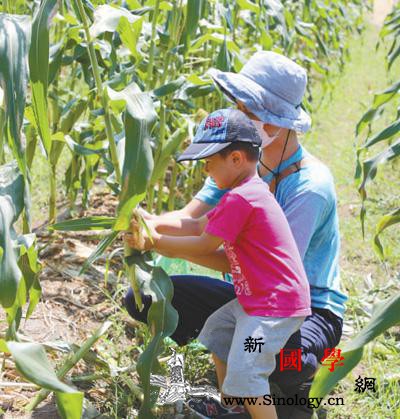 打造旅游目的地、促进居民就业…创新为_法国-蔬果-菜市场-