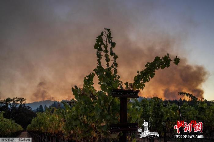 强风增加山火风险美加州将有超过36万_加州-山火-断电-
