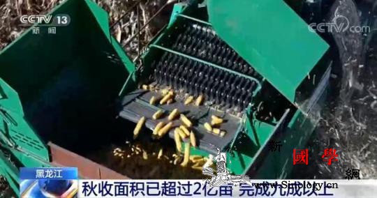 全国各粮食主产区秋收接近尾声丰收已成_秋收-定局-已成-