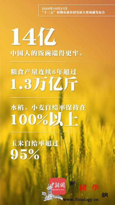 “十三五”时期水稻小麦自给率保持在1_旱涝保收-稳产-划定-