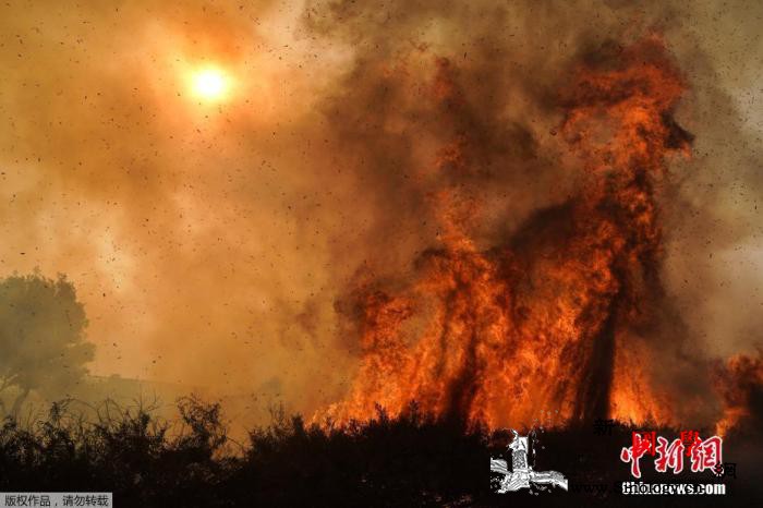美国南加州野火不断！约10万居民被要_国家气象局-强风-野火-