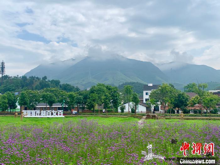 浙江提前完成13项污染防治年度任务已_翘楚-浙江省-浙江-