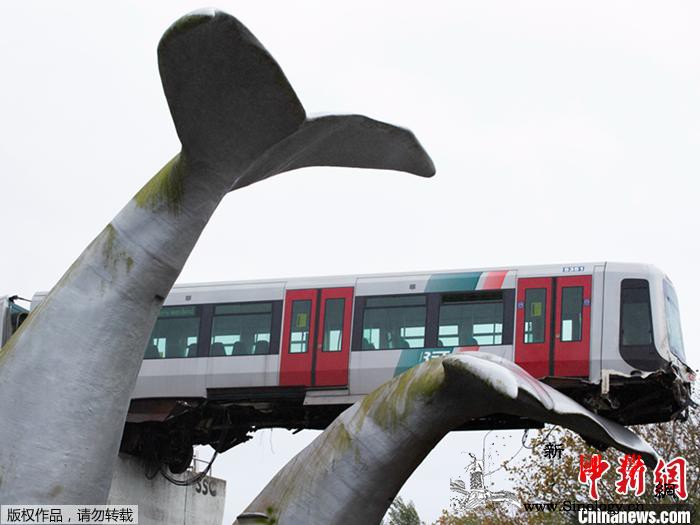 好险！荷兰列车冲出轨道幸被鲸鱼雕塑“_荷兰-鲸鱼-冲出-