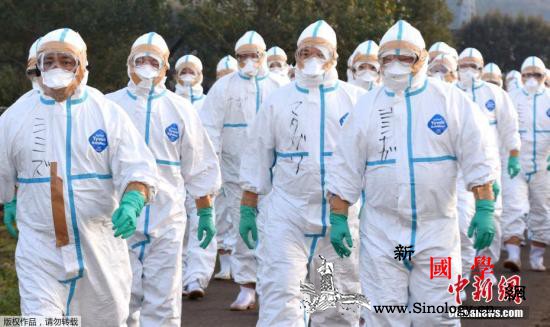 日本香川县发生H5型禽流感疫情约33_养鸡场-日本-疫情-