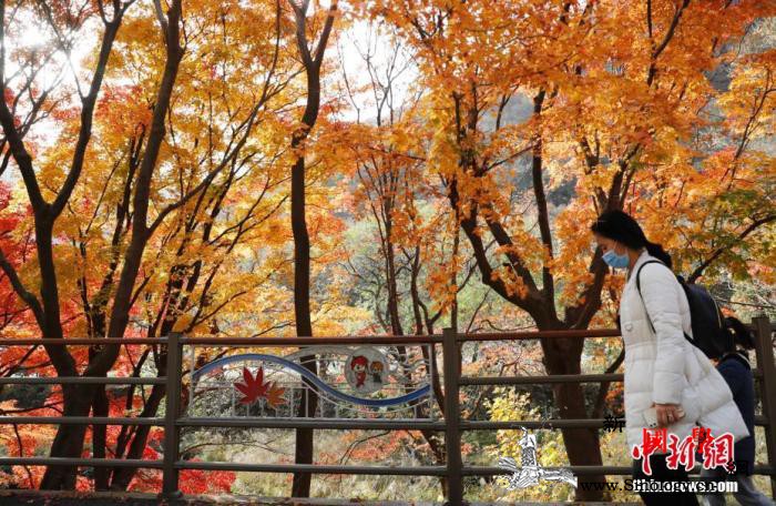 韩国近两周不明感染途径病例达13.6_韩国-疫情-病例-