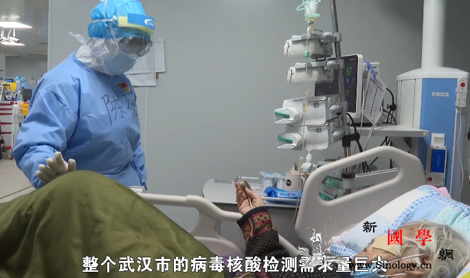 人民英雄丨陈薇：除了胜利别无选择_核酸-武汉-专家组-