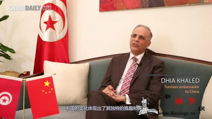 突尼斯大使谈中国文化|中国文化有深度_立陶宛-突尼斯-爱尔兰-驻华-