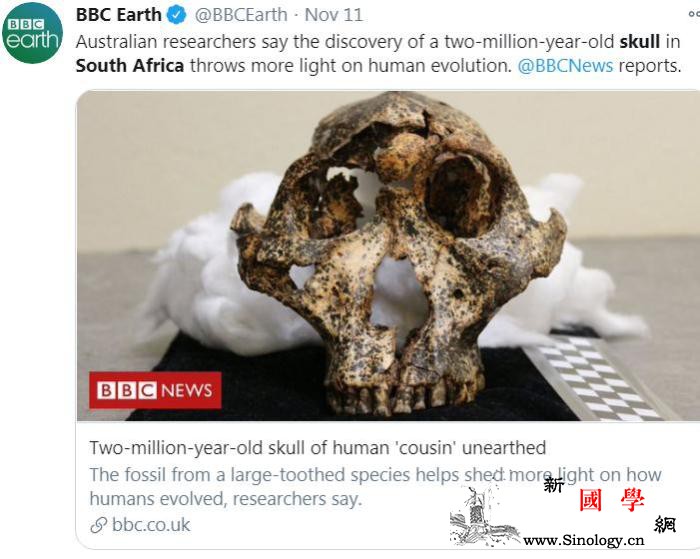 南非发现200万年前头骨化石提供人类_南非-头骨-化石-