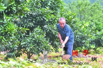 毛相林：凿通脱贫致富的“天路”_林带-出了-脱贫致富-
