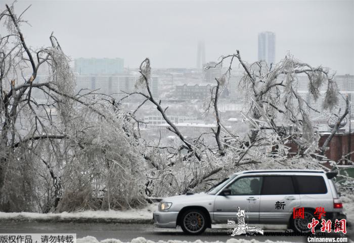 俄符拉迪沃斯托克遇暴风雪15万人断电_远东-俄罗斯-滨海-