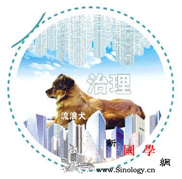 无主犬流浪犬数量激增犬患戳中城市管理_无锡市-收容-法治-