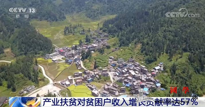 农业农村部：产业扶贫对贫困户收入增长_贫困户-林下-迪庆-