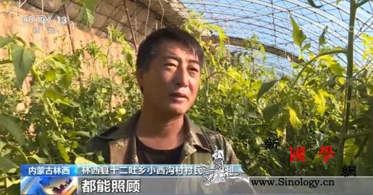 内蒙古林西县发展种养产业超万户贫困户_林西县-脱贫-园区-