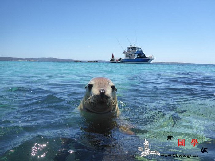 澳大利亚旅游局举办中国区线上旅业洽谈_南澳-海狮-旅游局-澳大利亚-