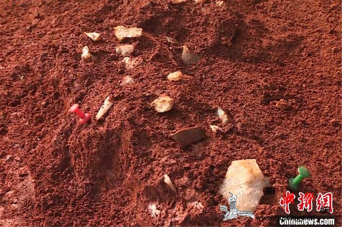 江西发现旧石器时代旷野遗址出土50_旧石器时代-旷野-遗址-考古-