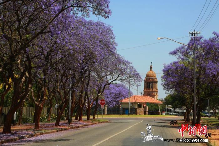 南非交通执法部门展开专项行动应对出行_南非-疫情-执法部门-