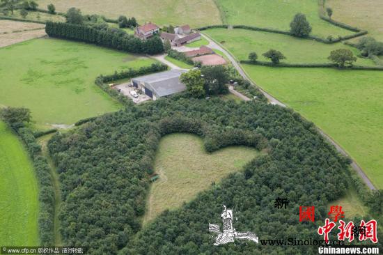 世卫组织公布全球十大死因心脏病仍是“_痴呆症-死因-阿尔-