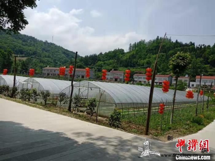 武汉高校思政课将脱贫攻坚故事“搬进”_脱贫-武汉-攻坚-