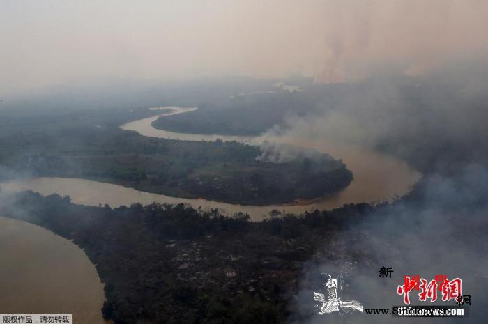 超22万起！巴西2020年野火数量创_南美洲-巴西-湿地-