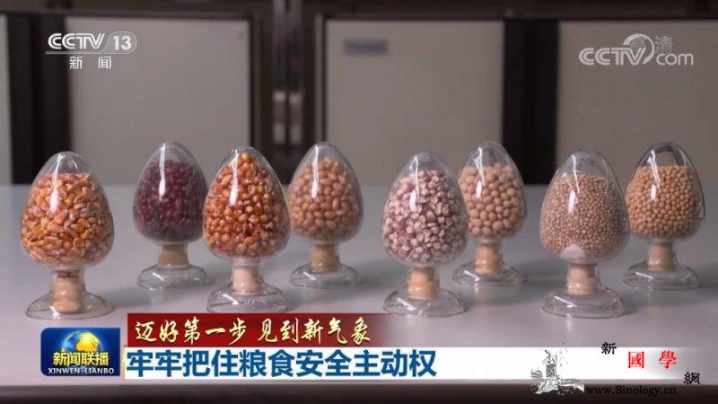 端牢中国饭碗这两个词很重要_耕地-种子-农村-
